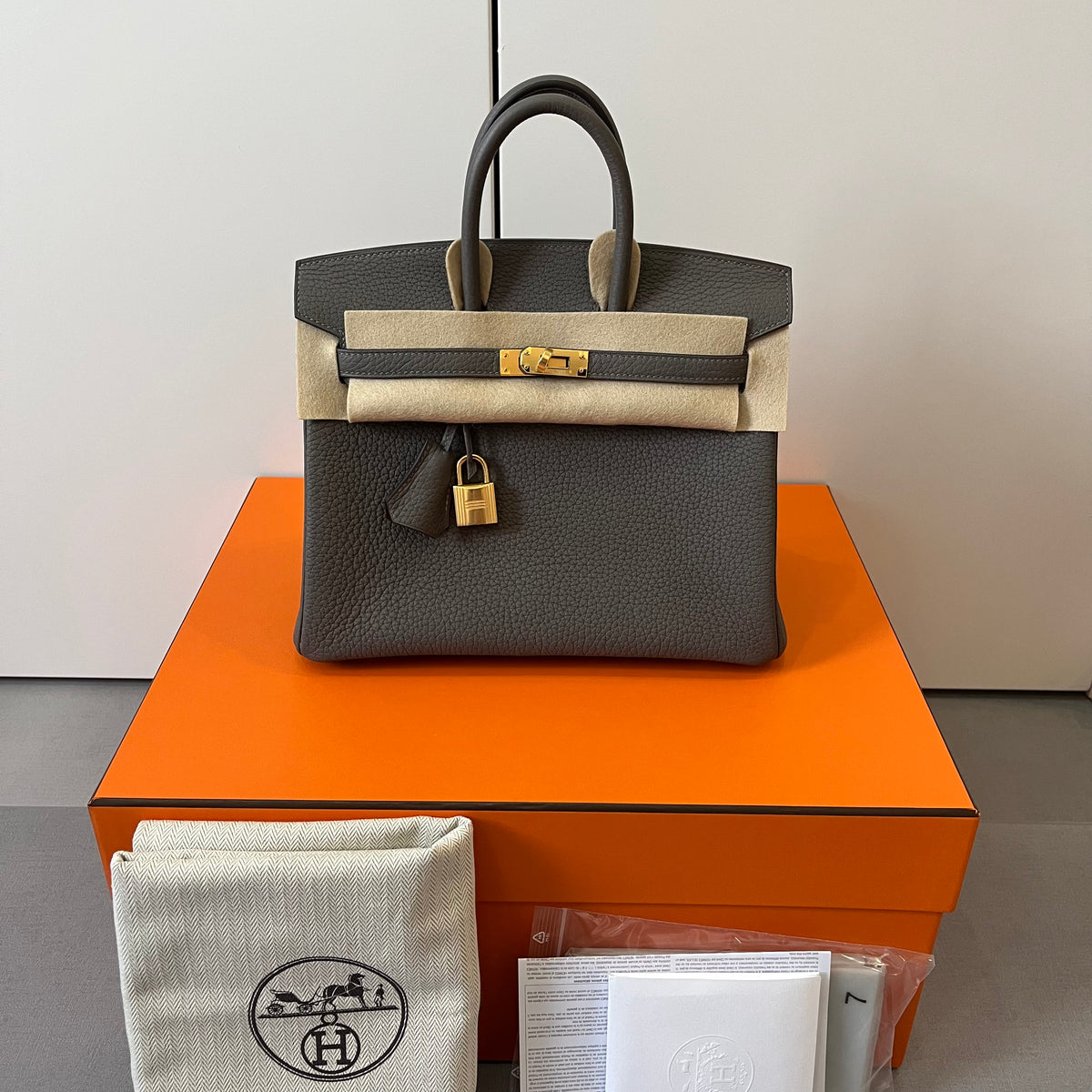 BNIB Hermes Birkin 25 ETAIN Epsom Sellier GHW Y Fullset, Women's Fashion,  Bags & Wallets, Cross-body Bags on Carousell